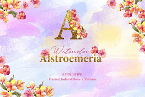 Alstroemeria Watercolor png Digital