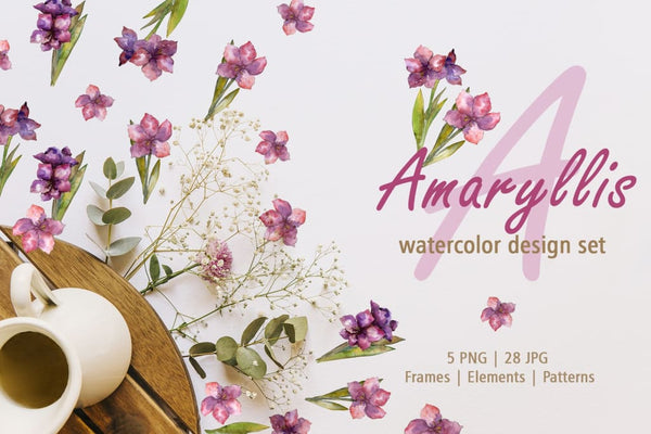 Amaryllis design set Watercolor png Digital