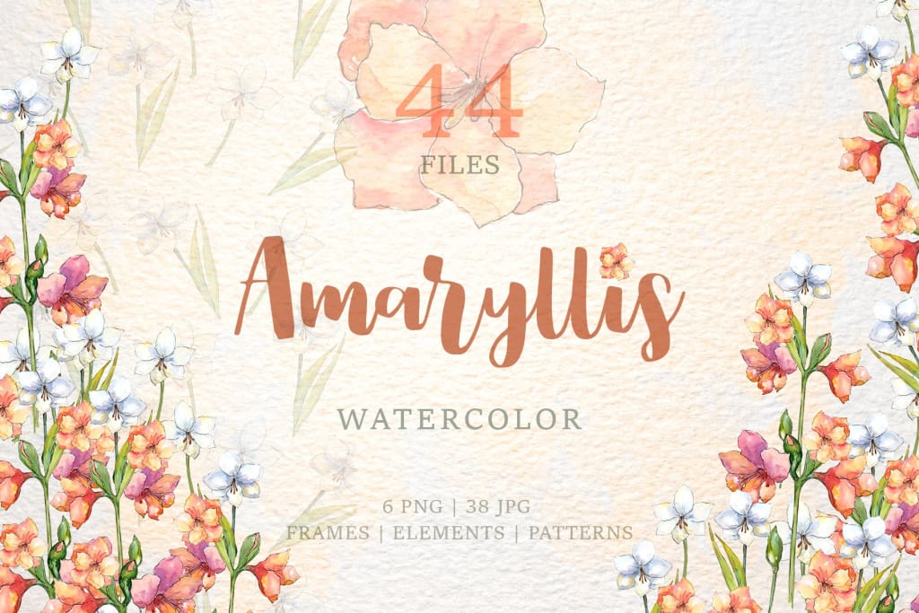 Amaryllis flowers Watercolor png Digital