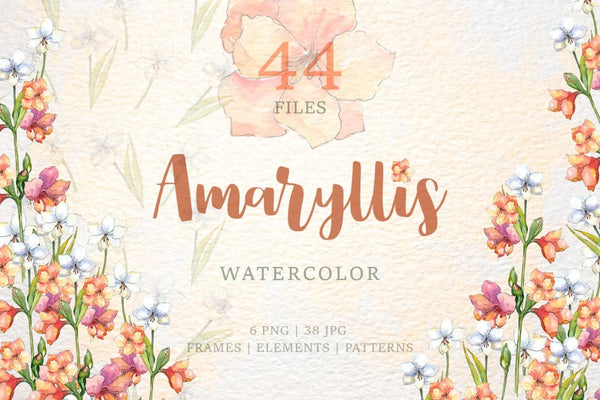 Amaryllis flowers Watercolor png Digital