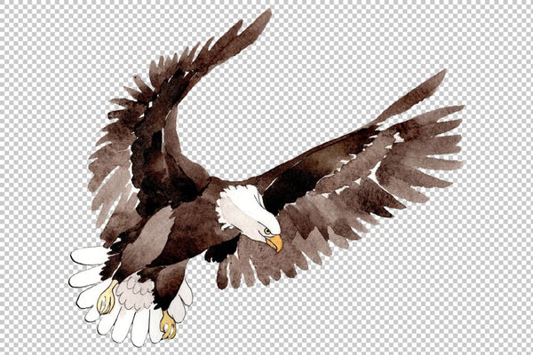 American bald eagle Watercolor png Flower
