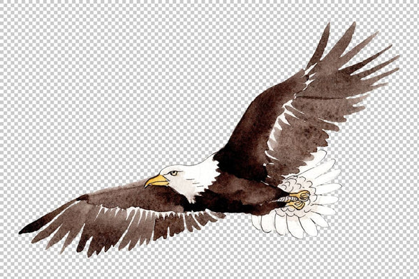American bald eagle Watercolor png Flower