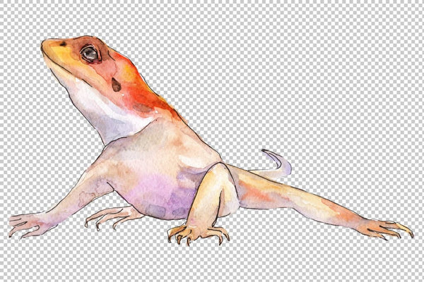 Animal iguaana watercolor png Digital