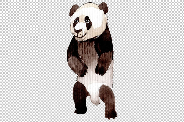 Animal panda watercolor png Flower