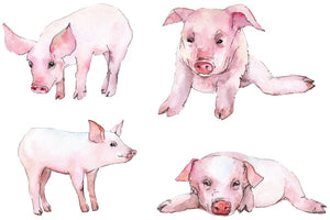 Animal pig watercolor png Flower