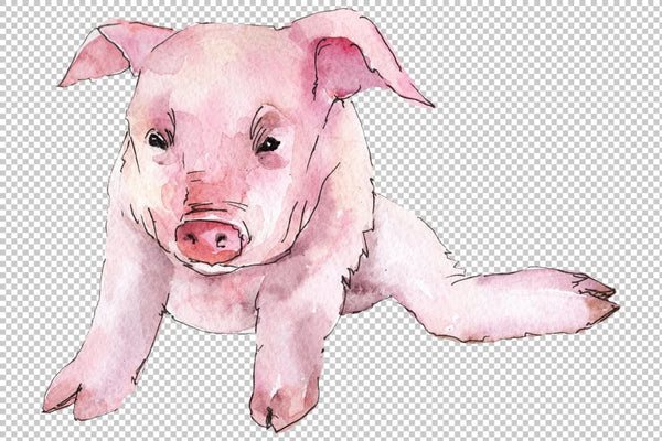 Animal pig watercolor png Flower