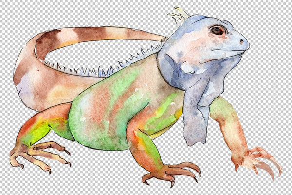 Animal world iguaana watercolor png Digital