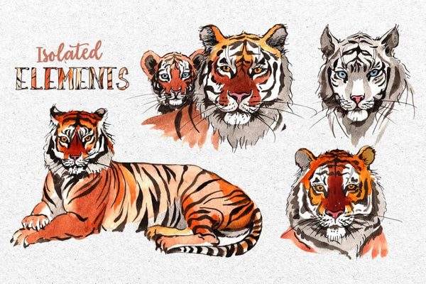 Animals: Tigers Watercolor png Digital