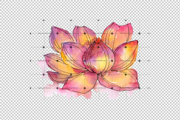 Aquarelle Lotus Flowers Png Set Flower