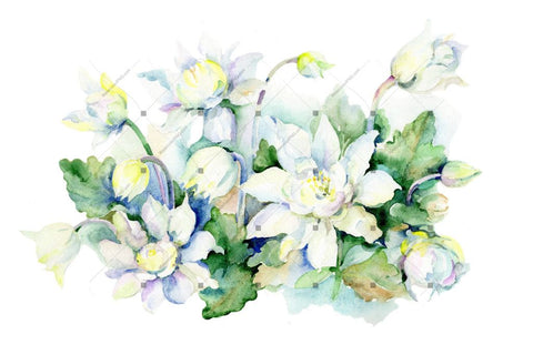 Aquarelle White Bouquet Png Watercolor Set Flower