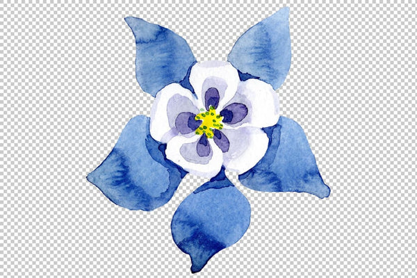 Aquilegia Colombian watercolor png Flower