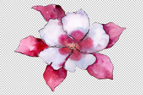 Aquilegia red flower Watercolor png Flower