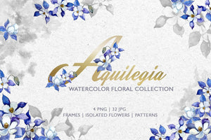Aquilegia Watercolor png Digital