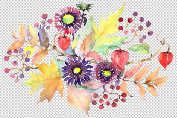 Autumn Bouquet with asters and physalis Watercolor png Flower