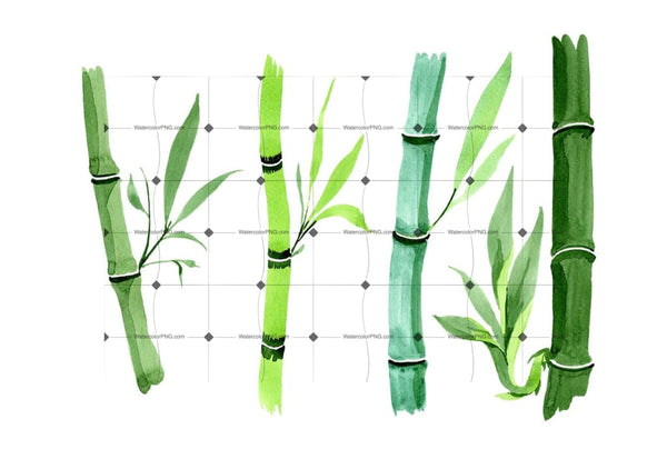 Bamboo Tropic Plant Png Watercolor Set Flower