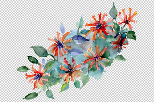 Barnaby flowers bouquet watercolor PNG Flower