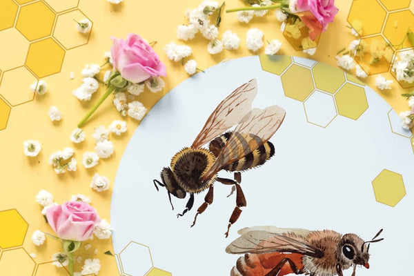 Bee Watercolor png Digital