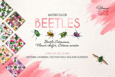 Beetle Cetoniinae Flower Watercolor png Digital