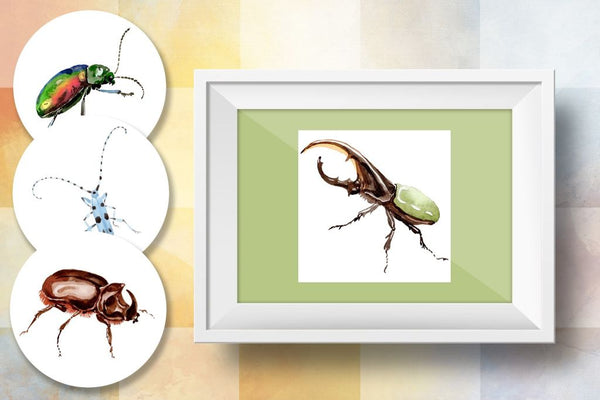 Beetles PNG Watercolor Set Digital