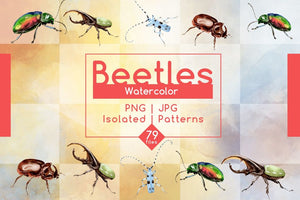 Beetles PNG Watercolor Set Digital