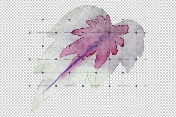 Begonia leaves Watercolor png Flower