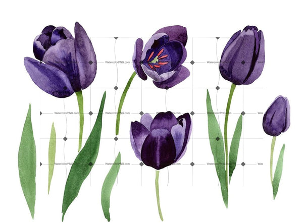 Black Tulips Png Watercolor Flower Set Flower