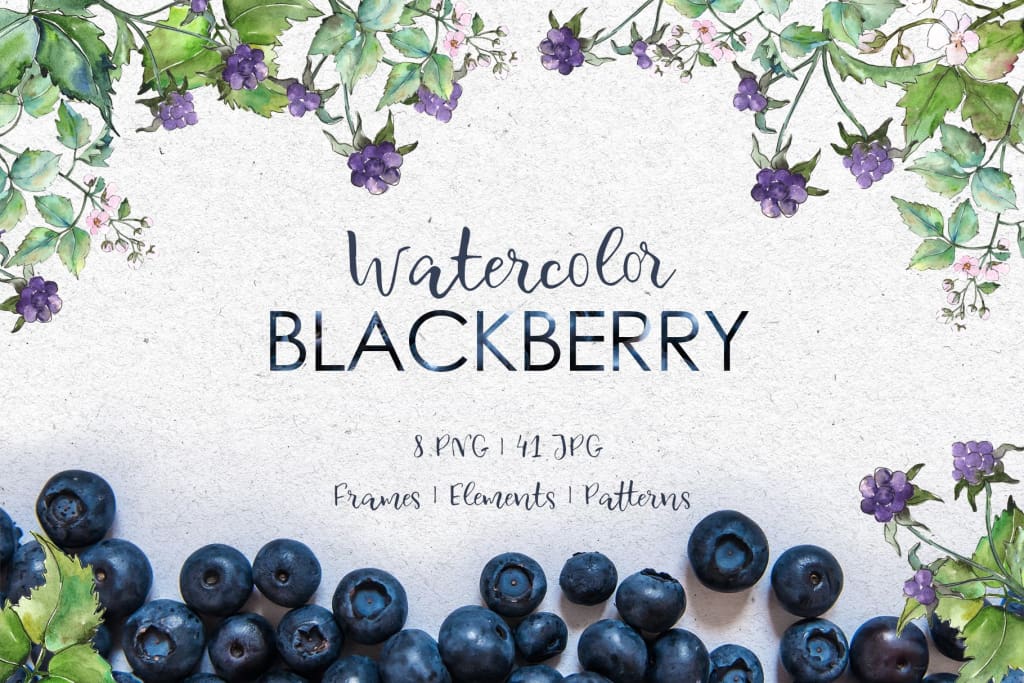 Blackberry Watercolor png