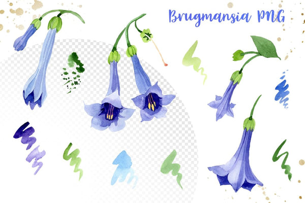 Blue brugmansia flower watercolor png Digital