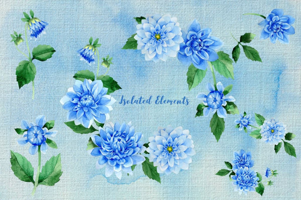 Blue dahlia great flowers PNG watercolor set Digital