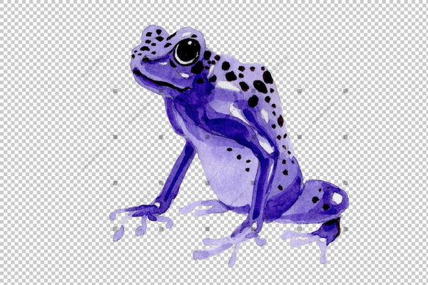 Blue Frog Png Watercolor Set Digital