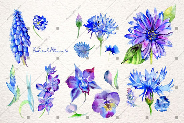 Blue Gerbera Png Watercolor Flower Set Digital