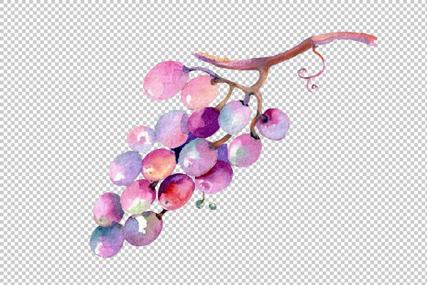 Blue grapes Watercolor png Flower