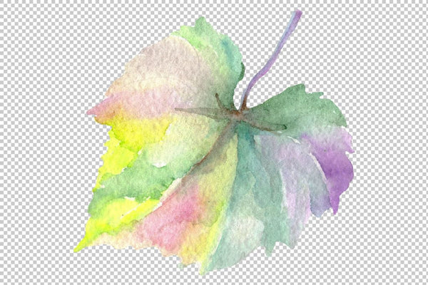 Blue grapes Watercolor png Flower