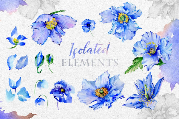 Blue Poppies Watercolor png Digital