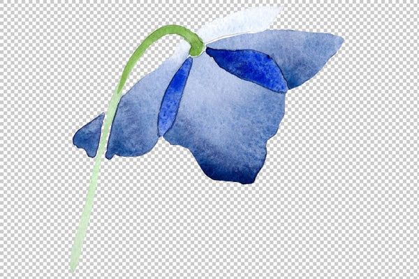 Blue poppy flower Watercolor png Flower