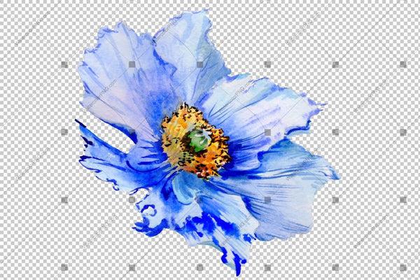 Blue Poppy Watercolor Flowers Png Flower