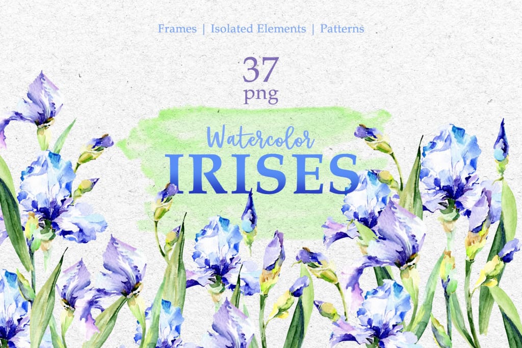 Blue Watercolor Irises PNG Digital