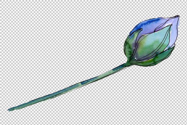 Blue watercolor lotus flower png Flower