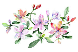 Bouquet Breath of love watercolor png Flower