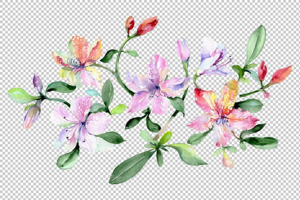 Bouquet Breath of love watercolor png Flower