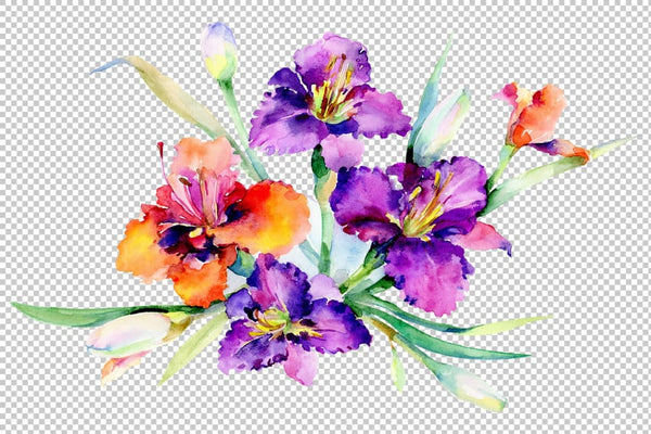 Bouquet Freesia watercolor png Flower