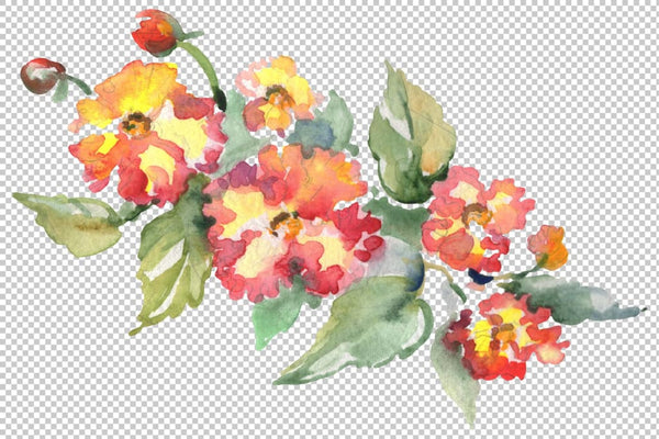 Bouquet Hoverla Watercolor png Flower