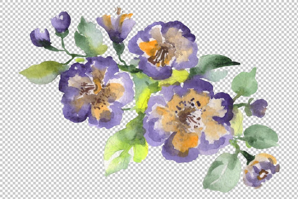 Bouquet Hoverla Watercolor png Flower
