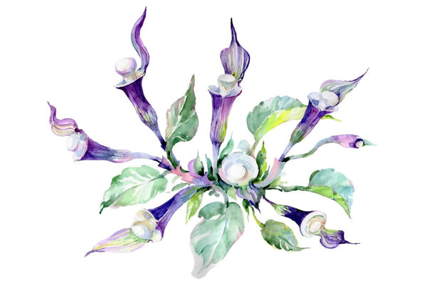 Bouquet Melody of the piano Watercolor png Flower