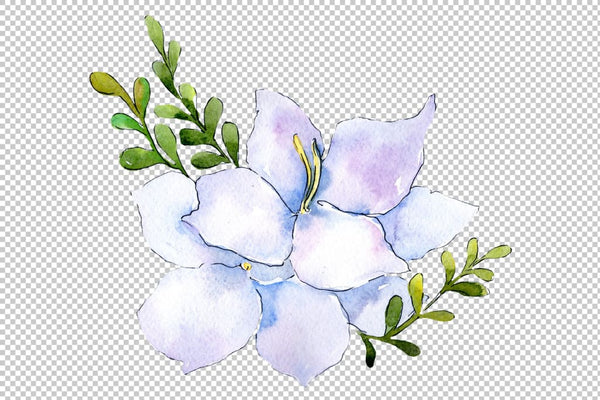 Bouquet Modest smile watercolor PNG Flower