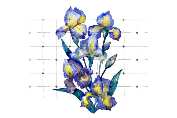 Bouquet Of Blue Irises Png Watercolor Set Flower