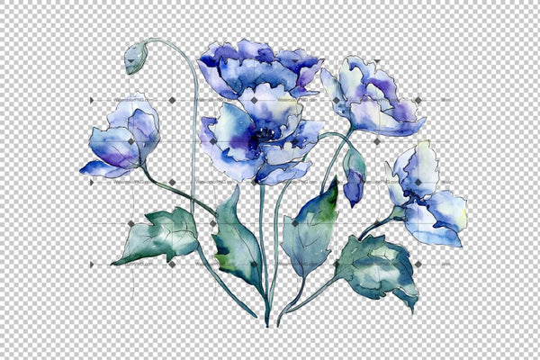 Bouquet Of Blue Poppies Png Watercolor Set Flower