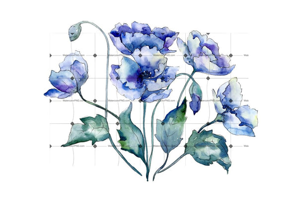 Bouquet Of Blue Poppies Png Watercolor Set Flower