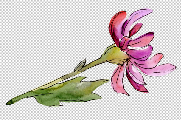 Bouquet of flowers aster Forest Fairy watercolor PNG Flower