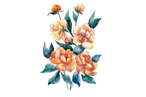 Bouquet of flowers Dimeter orange watercolor png Flower
